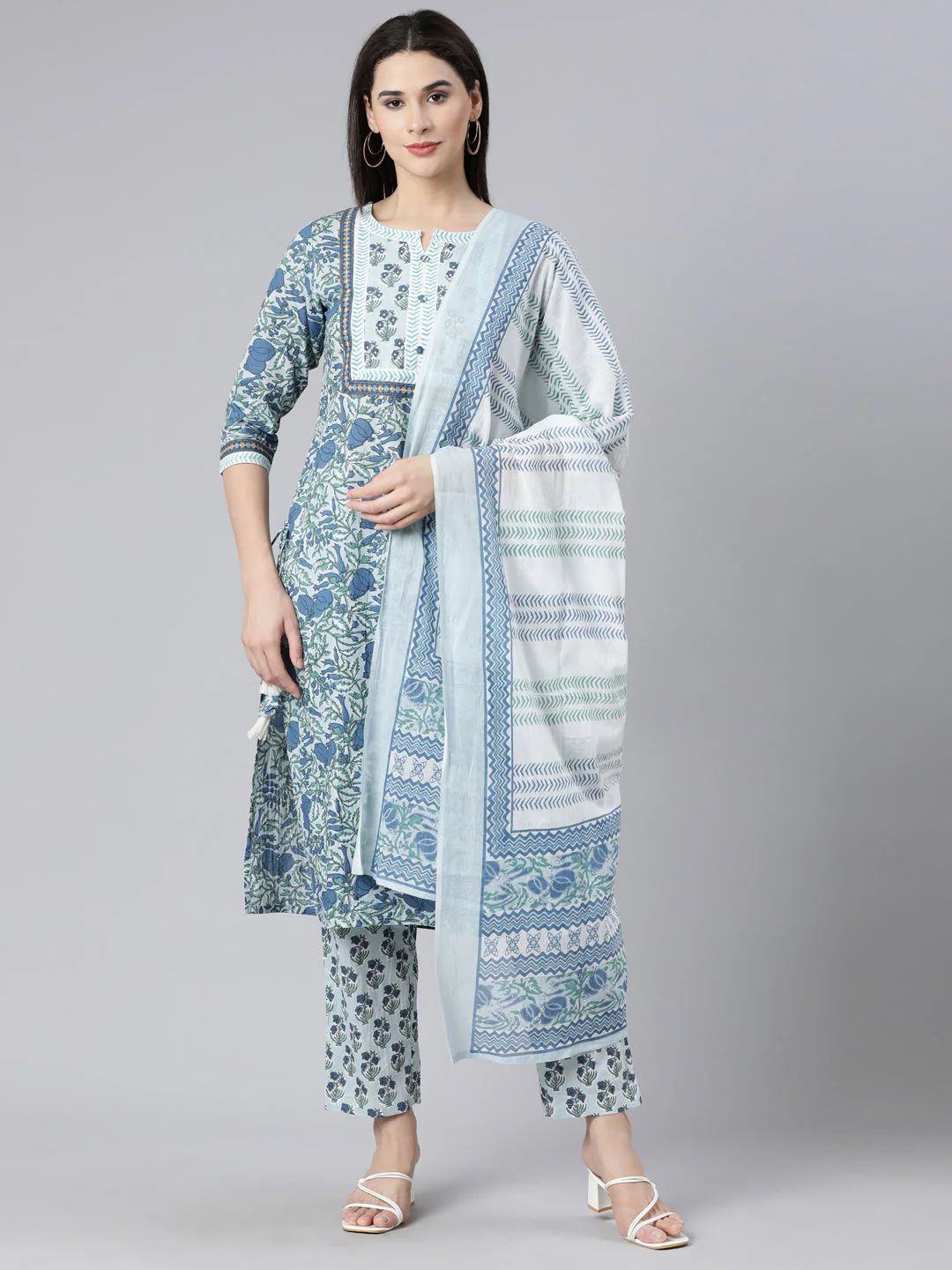 Neerus Blue Panelled Straight Printed Kurta And Trousers With Dupatta